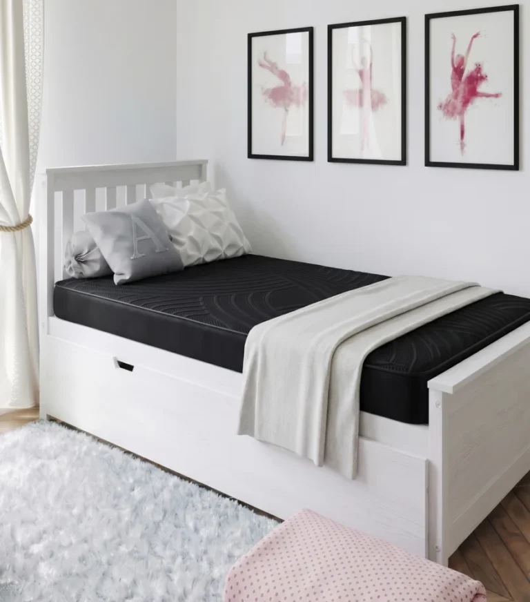 genesis-lifestyle-real-bed-slim genesis lifestyle real bed slim e1782854835225