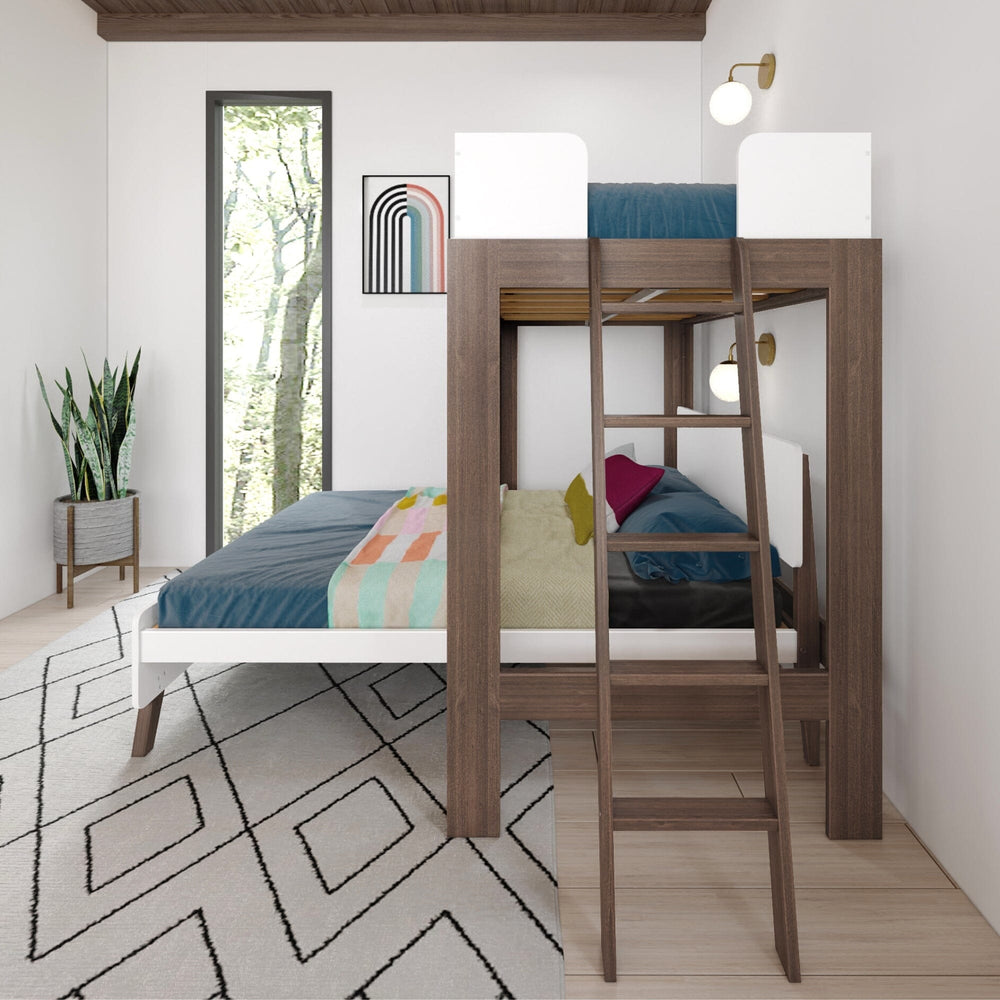 Mid-Century Modern Twin Over Full L-Shaped Bunk Bed in White/Walnut - side room scene highlighting the angled ladder to the twin loft above the full bed, with a potted plant and tall window